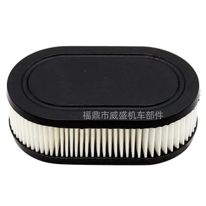 Elemento de filtro de aire para cortacésped Briggs Stratton 798452 593260 L0079 - Product Image 1