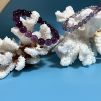 Spécimen de corail blanc de coquille naturelle en vrac en gros pour la décoration Fengshui de cadeau