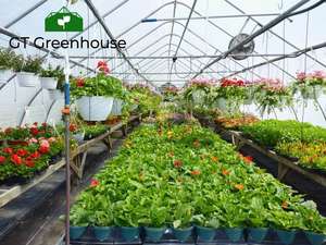 Invernadero de un Solo Tramo con Acero Galvanizado - Product Image 6