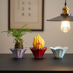 Plato de cerámica para frutas con forma de flor, de porcelana de color sólido, para servir té y exhibir. - Product Image 2