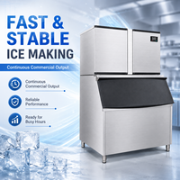 Macchina per Cubetti di Ghiaccio 680kg/24h, 220V/380V Opzionale, Design Igienico e Sterile per Fabbriche Alimentari, Fabbrica Bingxi