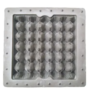 Aluminum/Plastic/ABS egg tray forming molds