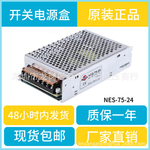 Alimentation à découpage NES-75-24 24V 3.3A AC-DC à sortie unique pour éclairage LED - Product Image 5