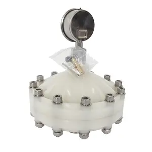PVDF Diaphragm Pulsation Damper Pulse Damper For Pneumatic/Plunger /Chemical Dosing Metering Pumps