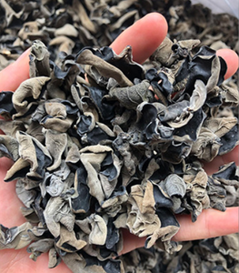 Mu Er, champignon séché sauvage d'Auricularia Auricula Underwood pour la consommation alimentaire - Product Image 5