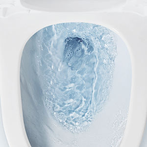 Inodoro Moderno de Cerámica Suspendido sin Borde <span class=keywords><strong>con</strong></span> Asiento de Cierre Suave, <span class=keywords><strong>Cisterna</strong></span> Oculta y Sistema de Marco, Fácil Instalación - Product Image 5