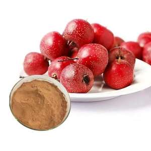 Health Care Aynsepalum Dulcificum Miracle Berry Extract 98% Miraculin Powder - Product Image 4