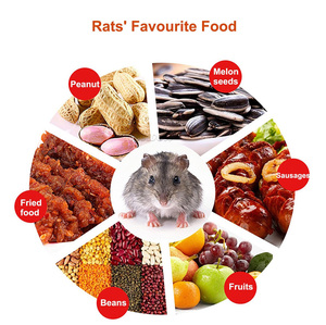 Piège à souris automatique Couvercle de seau Flip Piège à rats Jardin Cuisine Intérieur Piège à souris <span class=keywords><strong>Portable</strong></span> et pratique Illimité - Product Image 2