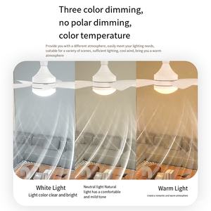 Beeman Mini Dimmable Household Led Fan Light White Led <b>Socket</b> Ceiling Fan Lights With <b>Remote</b> <b>Control</b> - Product Image 3