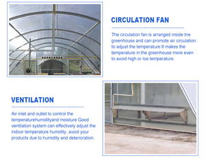 Essiccatore solare economizzatore d'energia dell'alimento per la macchina dell'essiccatore della carne del pesce della frutta della verdura da vendere - Product Image 6