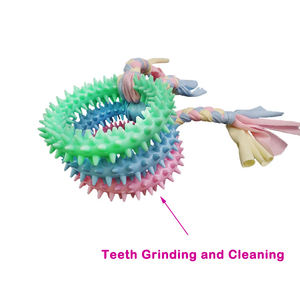 Juguete <span class=keywords><strong>para</strong></span> Masticar <span class=keywords><strong>para</strong></span> <span class=keywords><strong>Cachorros</strong></span>, Artículo Promocional <span class=keywords><strong>para</strong></span> Tiendas de Mascotas, Nudo de Algodón, Plástico TPR, Palo <span class=keywords><strong>para</strong></span> Masticar <span class=keywords><strong>para</strong></span> <span class=keywords><strong>Perros</strong></span> Pequeños, <span class=keywords><strong>Mordedor</strong></span> <span class=keywords><strong>para</strong></span> Mascotas - Product Image 2