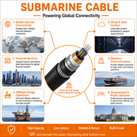 Kabel Bawah Laut Terlaris 12/20(24)KV XLPE Dengan Kabel Serat Optik Tahan Air Untuk Komunikasi Bawah Laut 70MM2 120MM 150MM