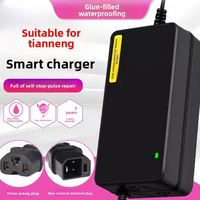 Nouveau chargeur universel pour véhicules électriques à batterie, compatible avec les batteries au plomb-acide/graphène 72V 20AH/32AH, garantie de 6 mois