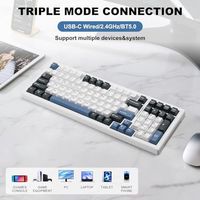 OEM ODM Wireless Mechanical Keyboard BT5024GHzUSB MultiColor LED with 18 Modes HotSwappable Custom Keyboard Red Creamy Switches