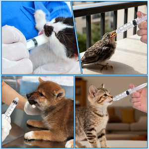 <span class=keywords><strong>เข็ม</strong></span>ฉีดยาใต้ผิวหนังสำหรับสัตว์ ขนาด 5 มล. แบบใช้แล้วทิ้ง ปลอดภัย สำหรับฉีดวัคซีน ราคาถูกจากซัพพลายเออร์จีน - Product Image 4