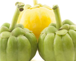 Hca garcinia cambogia תמצית פירות אבקת מזון כיתה תוספת צמחים מ שורש מראה לבן סין בשימוש - Product Image 1