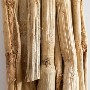 Bâtonnets de canne à sucre naturels séchés du Delta du Vietnam pour petits animaux : écureuils, lapins, chinchillas, cochons d'Inde, hamsters / noisettes - Product Image 1