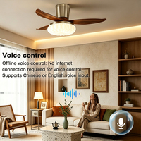 Ventilateurs de plafond avec éclairage à commande vocale, moteur silencieux DC 36W*2, LED dimmable, télécommande, prix d'usine, 25/36 pouces