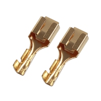 Boerda – Bornes de câblage automobile à sertir en laiton étamé, connecteurs de câble carrés de 6,3 mm², 230 V, modèle DJ621-B6.3