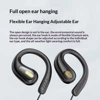 Nouveaux écouteurs filaires numériques transfrontaliers Type-C/3,5 mm à contour d'oreille, cordon de 1,2 m, sans douleur, non intra-auriculaires, commandes intégrées, en plastique