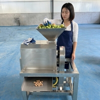 Industriële horizontale verticale klei-kloppende machine motor capaciteit sapcentrifuge voor tomaten verse jujubes Phyllanthus Emblica