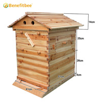 Wachsbeschichteter Holz-Bienenstock mit automatischem Honigfluss