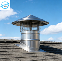 Capot de cheminée en acier inoxydable 304, résistant à la pluie, avec grille anti-oiseaux pour tuyau de ventilation