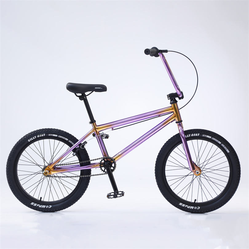Wholesale Race Bmx Bike 20 Inch Cycle\/good Quality Dirt Jump the