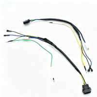 Kabel Harness Multi-End dengan Konektor Campuran, Terminal Spade & Ring Lugs untuk Peralatan Rumah Tangga & Unit Kontrol Elektronik