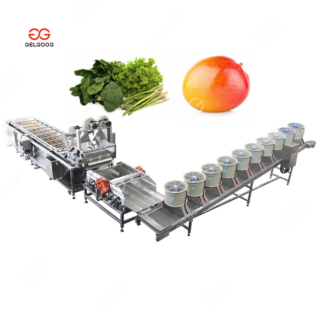 Gelgoog Automatic Industrial Sapota Mulukhiyah Lingonberries Cloudberries Washer Cleaner Fruit Vegetable Lettuce Washing Machine