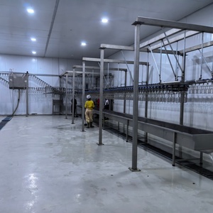 Línea de Sacrificio de Aves de Corral al por Mayor, Equipo Automático de Matadero para Aves de Corral, Equipo de Matadero para Pollos - Product Image 3