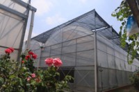Serre intelligente de grande taille de la marque ZHUOTAI avec système hydroponique, fabriquée en Chine