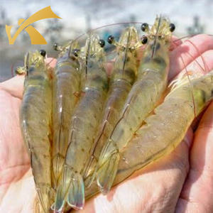 Vis Kweek Vijver Garnalentank Aquacultuur Met Behulp Van China Plastic Pvc <span class=keywords><strong>Tank</strong></span> Met Stalen Steun Ronde - Product Image 2