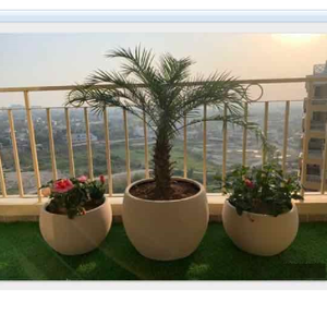 <span class=keywords><strong>Fioriera</strong></span> per alberi e fiori <span class=keywords><strong>in</strong></span> <span class=keywords><strong>cemento</strong></span> tondo per esterni all'ingrosso su misura <span class=keywords><strong>in</strong></span> fabbrica - Product Image 6