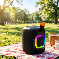 Haut-parleurs sans fil Bluetooth 5.3 à alimentation directe d'usine, étanches IPX6, avec effet lumineux RGB, carte TF, USB, alimentation DC, FM, AUX, pour l'extérieur et les voyages