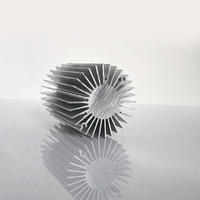 Profilé d'extrusion en aluminium anodisé 6063 T5 T6 sur mesure, usiné CNC, pour le secteur de l'ingénierie industrielle, dissipateur de chaleur en aluminium pour le refroidissement, OEM
