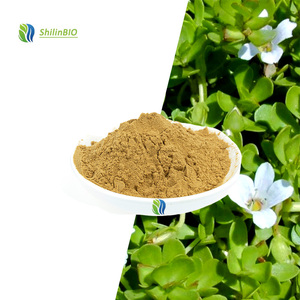 Bubuk Ekstrak <span class=keywords><strong>Bacopa</strong></span> Monnieri Food Grade 10:1 <span class=keywords><strong>20</strong></span>% Bubuk Bacosides - Product Image 1