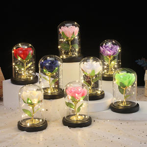 Cadeau de la Saint-Valentin, anniversaire, petite amie, romantique, fleurs éternelles en plastique, couverture en verre artificiel, veilleuse décorative - Product Image 2