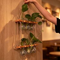 Vase hydroponique créatif en verre borosilicate semi-artisanal, décoration murale pour plantes vertes, suspendu au mur du salon, pour Pothos