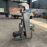 Presse-agrumes spirale automatique industrielle grande capacité à essence avec séparation de la pulpe pour gingembre, ananas, pommes, usage commercial