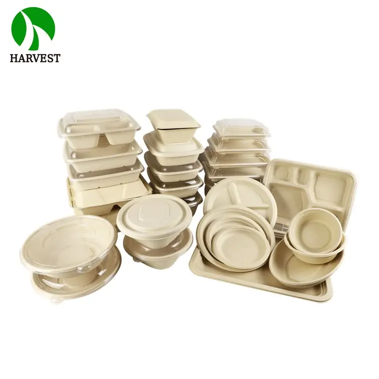 Manufacturer High Quality Eco-friendly Disposable Biodegradable Sugarcane Bagasse Tableware Food Container