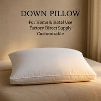 Oreiller en duvet de canard blanc en gros, garnissage haute densité, housse en coton respirant, qualité hôtelière douce, pour usage domestique et hôtelier, personnalisable