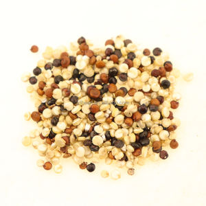 <span class=keywords><strong>Quinoa</strong></span> Grezza Nihewan all'<span class=keywords><strong>Ingrosso</strong></span>, Grano di <span class=keywords><strong>Quinoa</strong></span> Bianco, <span class=keywords><strong>Quinoa</strong></span> in Grandi Quantità - Product Image 2