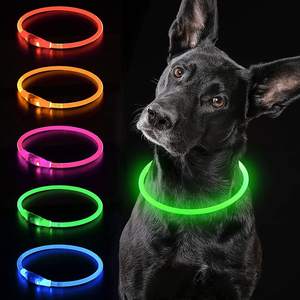 Nuevo diseño brillante LED USB recargable mascota perro <span class=keywords><strong>collar</strong></span> de luz Multicolor luz intermitente brillante mascota gato perro LED <span class=keywords><strong>Collar</strong></span> - Product Image 2