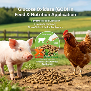 Glucose oxydase (GOD) CAS 9001-37-0, marque ZEAL, poudre de qualité industrielle pour l'alimentation, l'alimentation animale, la pharmacie, la pâtisserie, les boissons, la conservation, les biosenseurs - Product Image 6