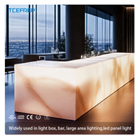 Panneau lumineux LED monochrome 480x240mm 30W SMD2835 DC24V 120° d'angle de faisceau, éclairage intérieur pour bureau, maison, école, commerce, hôtel