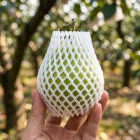 Manchon de protection en mousse EPE pour l'emballage des fruits (melon, banane, papaye) – Léger et résistant aux chocs pour l'expédition transfrontalière