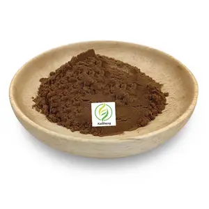 Wholesale Supply Valerian Root Extract Powder Valerian Extract Valeric Acid