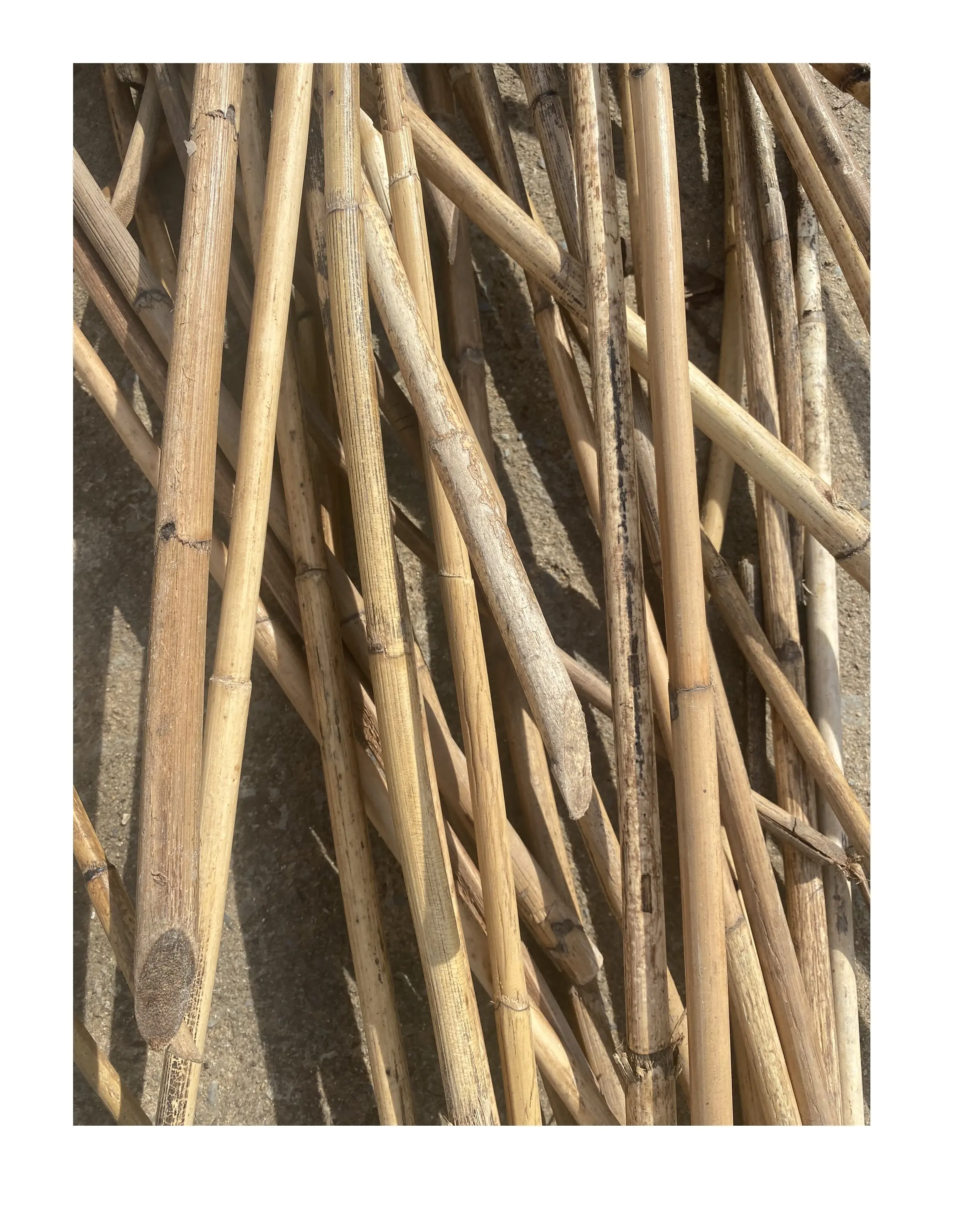 Natural Rattan Cane/ Polished Rattan Manau Poles Material for making furniture and handicraft