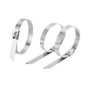 Attaches-câbles en nylon (100 pièces, 11,8 pouces) robustes, autobloquantes, avec billes en acier - Product Image 1